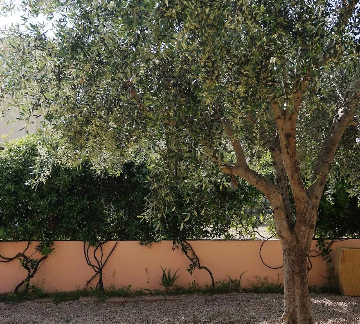 Ulivo Al Mare, Olbia, Murta Maria 0*,  Italia